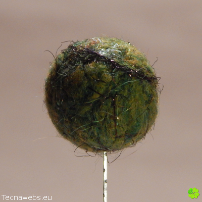 bolas de lana verde huerto afieltrada
